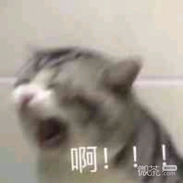 微信恶搞小表情斗图表情包