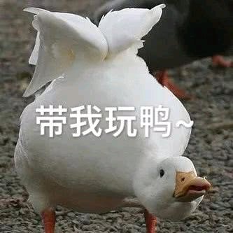 微信恶搞逗比傻屌群聊表情包