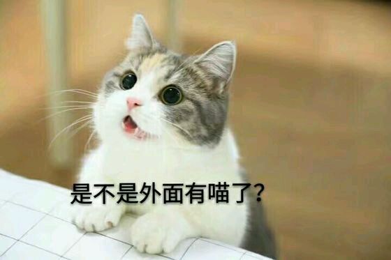 恶搞群聊杂图斗图微信表情包