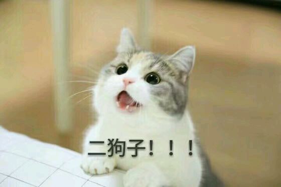 恶搞群聊杂图斗图微信表情包