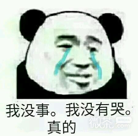 微信尬聊熊猫头斗图表情包