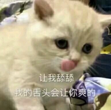 微信可爱爆笑喵星人表情包