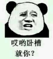 微信尬聊熊猫头斗图表情包