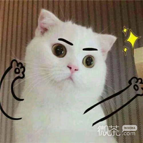 可爱搞怪喵星人微信头像