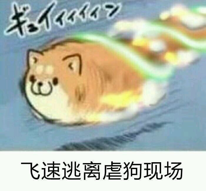 微信群聊聊天斗图表情包