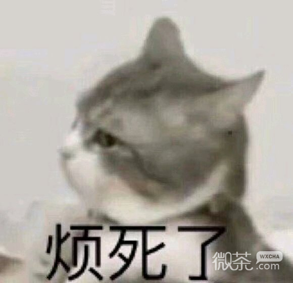 微信搞怪笑死了斗图表情包