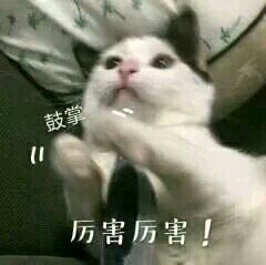 我慌了微信恶搞斗图表情包