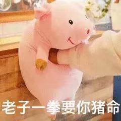 微信近期恶搞斗图表情包2019/3/8(二)