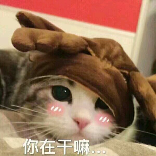 微信搞怪开心斗图表情包
