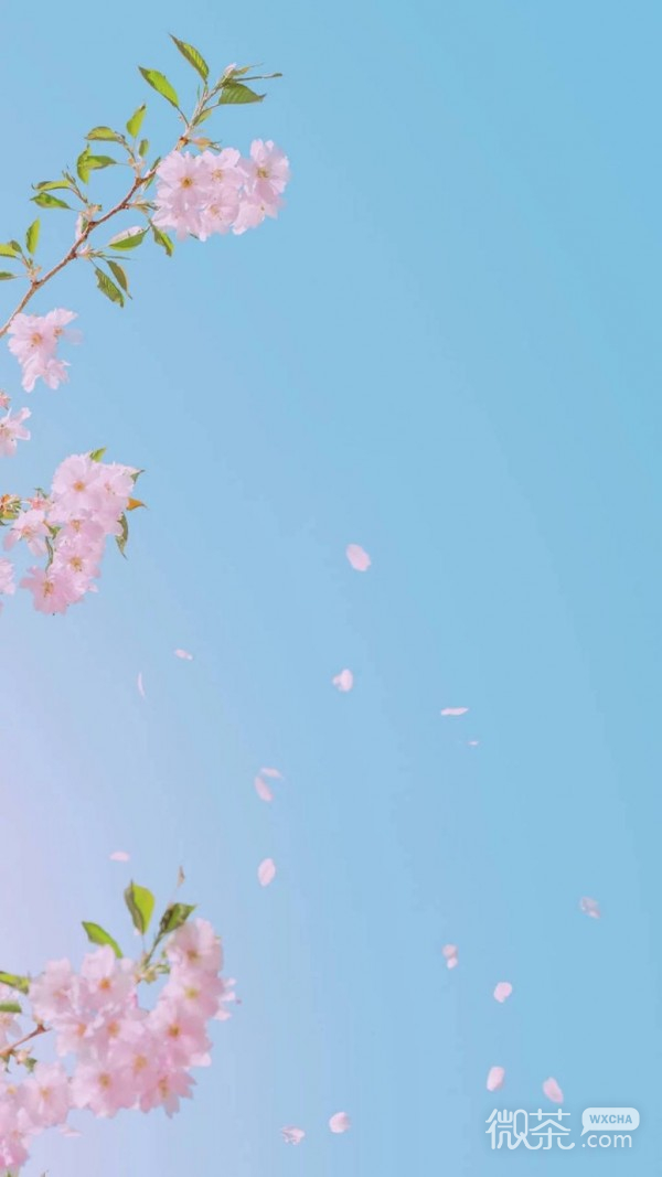微信唯美简约少女心聊天背景
