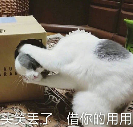 微信近期恶搞斗图表情包2019/3/8(二)