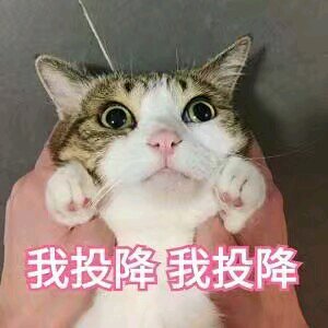 微信搞怪开心斗图表情包