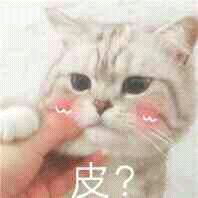 微信恶搞调侃斗图表情包