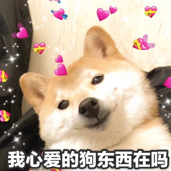 微信近期恶搞斗图表情包2019/3/8(二)