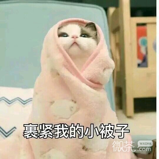聊天群聊斗图微信表情包