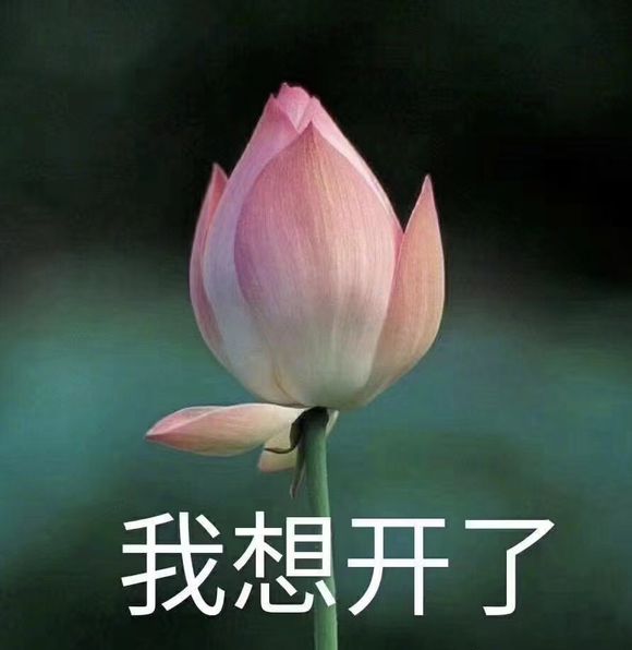 微信近期恶搞斗图表情包2019/3/8(二)