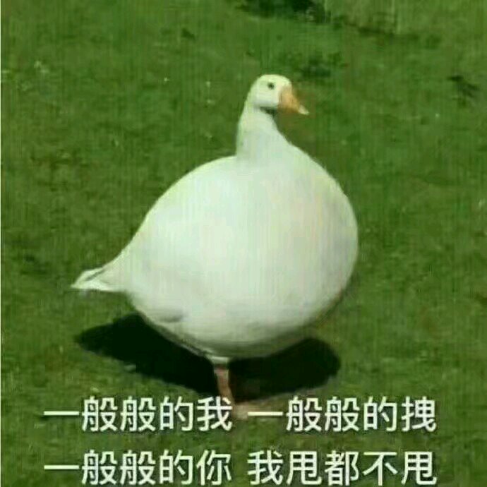 微信恶搞调侃斗图表情包