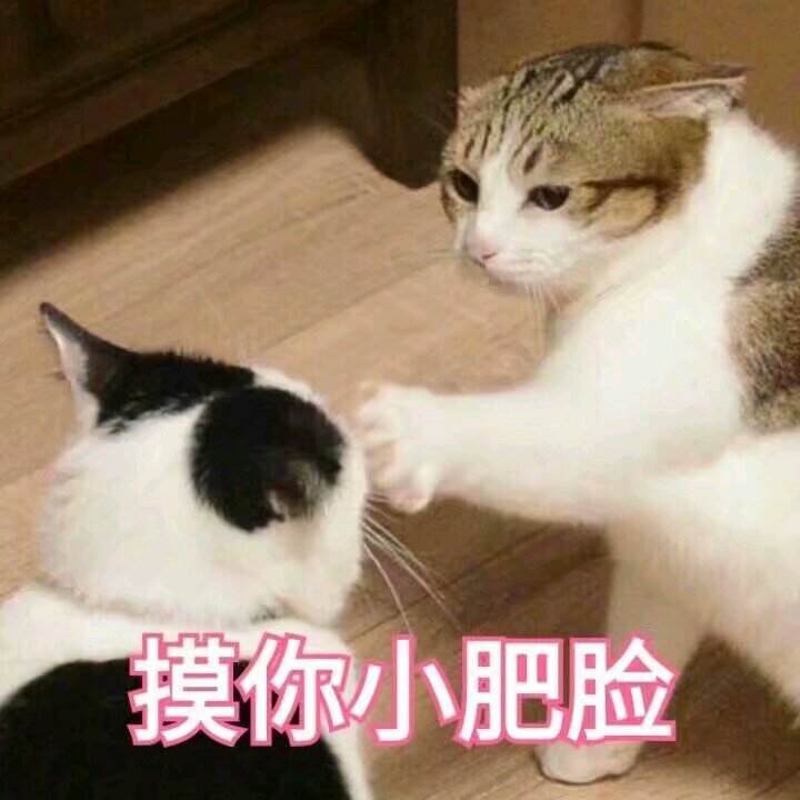 微信搞怪开心斗图表情包