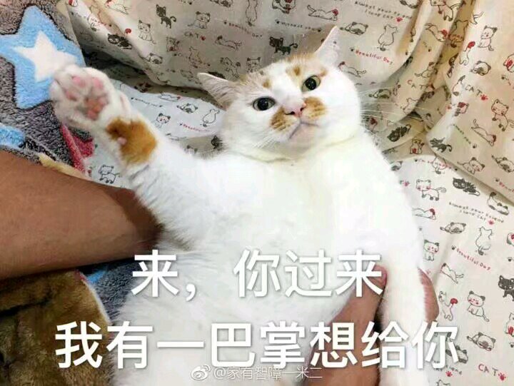 微信搞笑恶搞斗图表情包