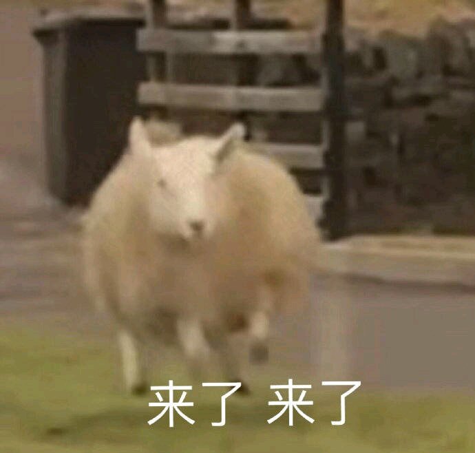 我慌了微信恶搞斗图表情包