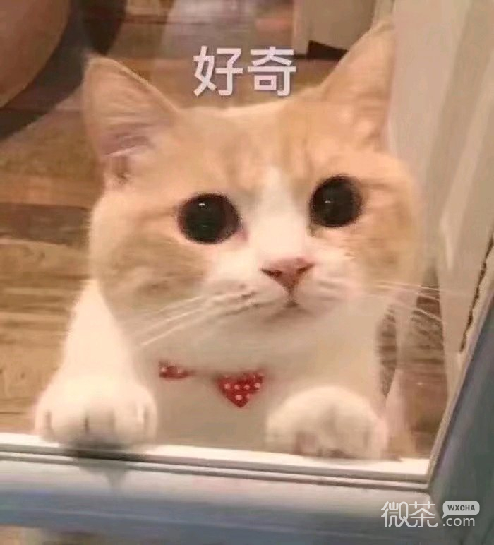 微信搞怪笑死了斗图表情包