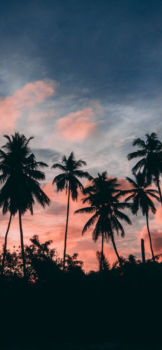 微信个性裸熊聊天背景