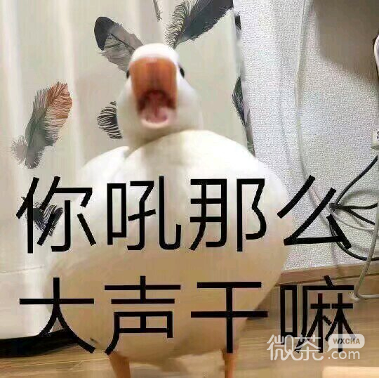 我慌了微信恶搞斗图表情包