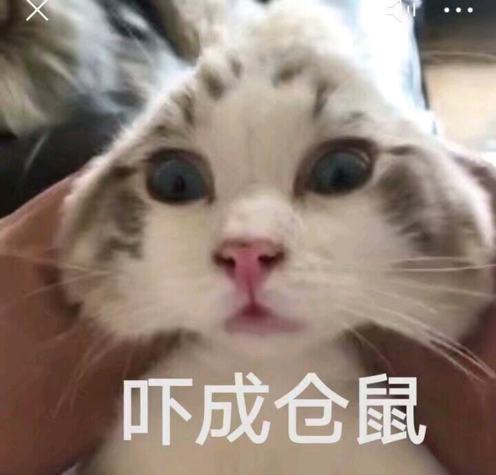 微信搞怪开心斗图表情包