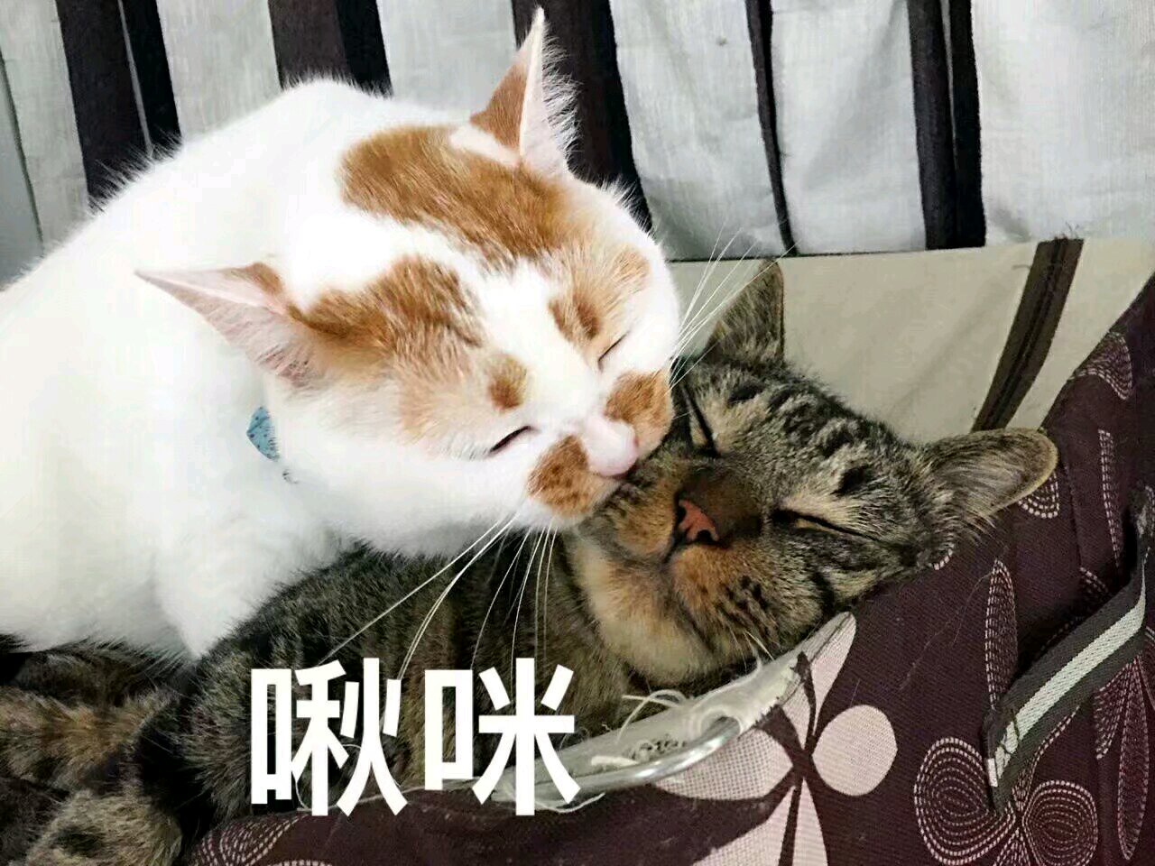 微信搞笑恶搞斗图表情包