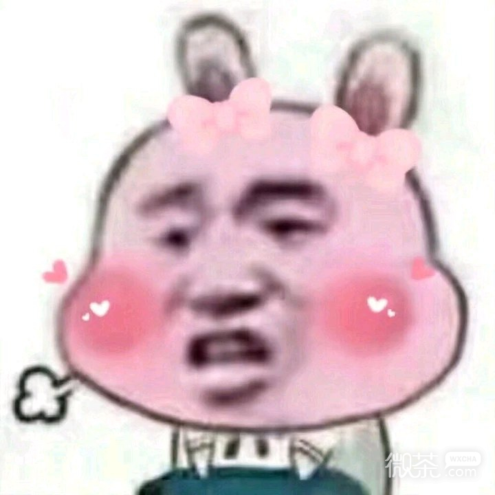 傻屌逗比群聊微信斗图表情包