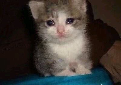 搞怪恶搞傻屌斗图微信表情包