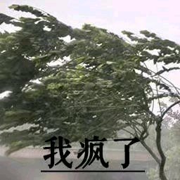 搞怪恶搞傻屌斗图微信表情包