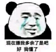 傻屌逗比群聊微信斗图表情包