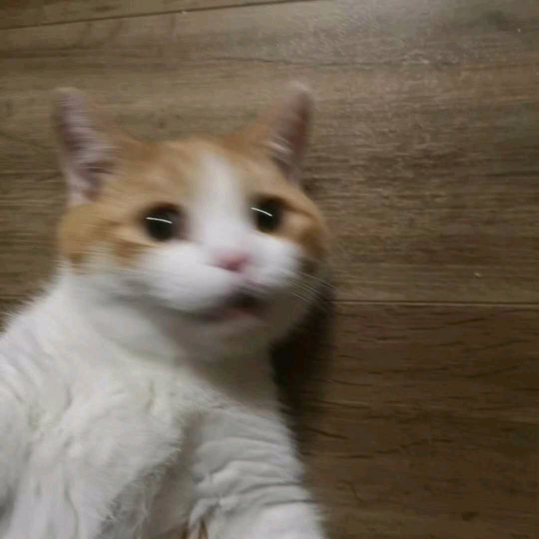 微信搞怪恶搞傻屌斗图群聊表情包