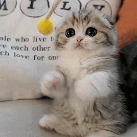 搞怪恶搞傻屌斗图微信表情包