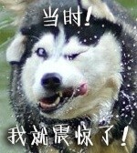 可爱搞怪的微信最新二哈带字表情包下载