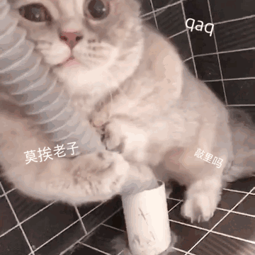 微信搞怪恶搞傻屌斗图群聊表情包