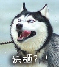 可爱搞怪的微信最新二哈带字表情包下载