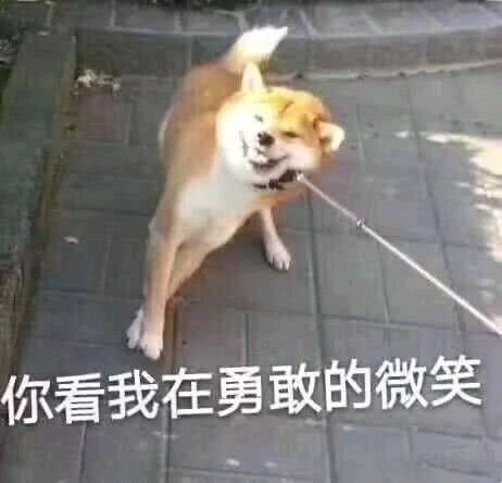 微信搞怪恶搞傻屌斗图群聊表情包