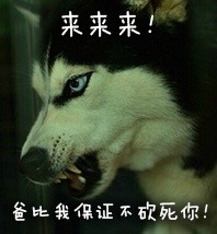 可爱搞怪的微信最新二哈带字表情包下载