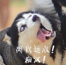 可爱搞怪的微信最新二哈带字表情包下载