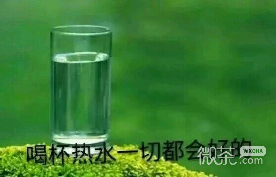 微信近期斗图恶搞表情包2019/3/11（二）