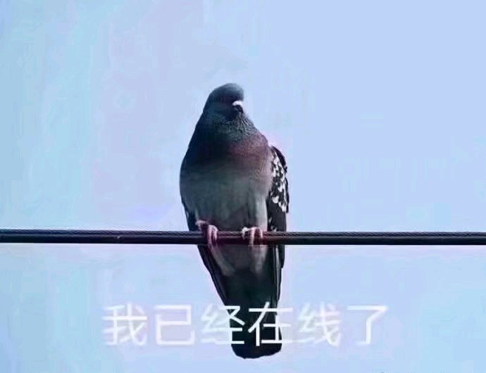 微信搞怪恶搞傻屌斗图群聊表情包