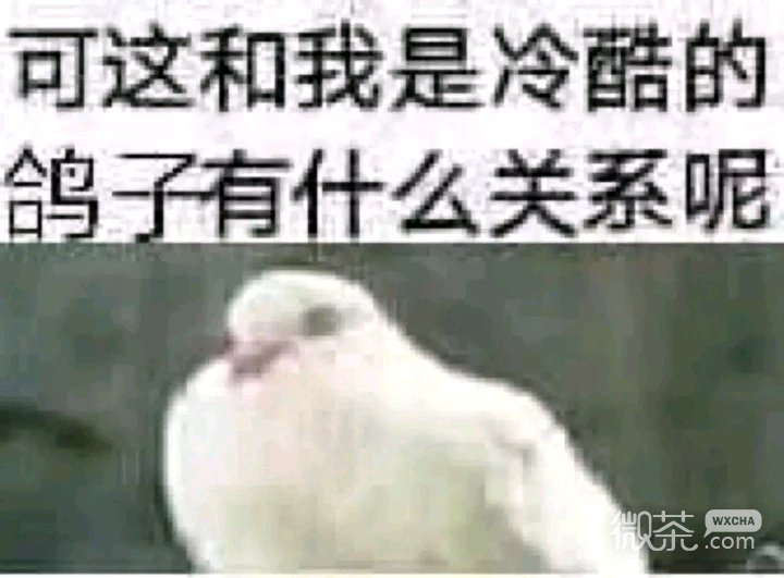 傻屌逗比群聊微信斗图表情包