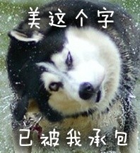 可爱搞怪的微信最新二哈带字表情包下载