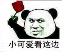 搞怪恶搞傻屌斗图微信表情包