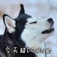 可爱搞怪的微信最新二哈带字表情包下载