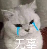 傻屌逗比群聊微信斗图表情包