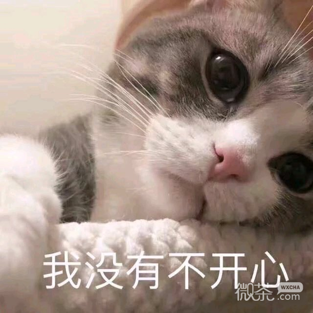 微信佛系恶搞傻屌斗图表情包