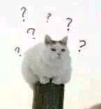 微信搞怪恶搞傻屌斗图群聊表情包